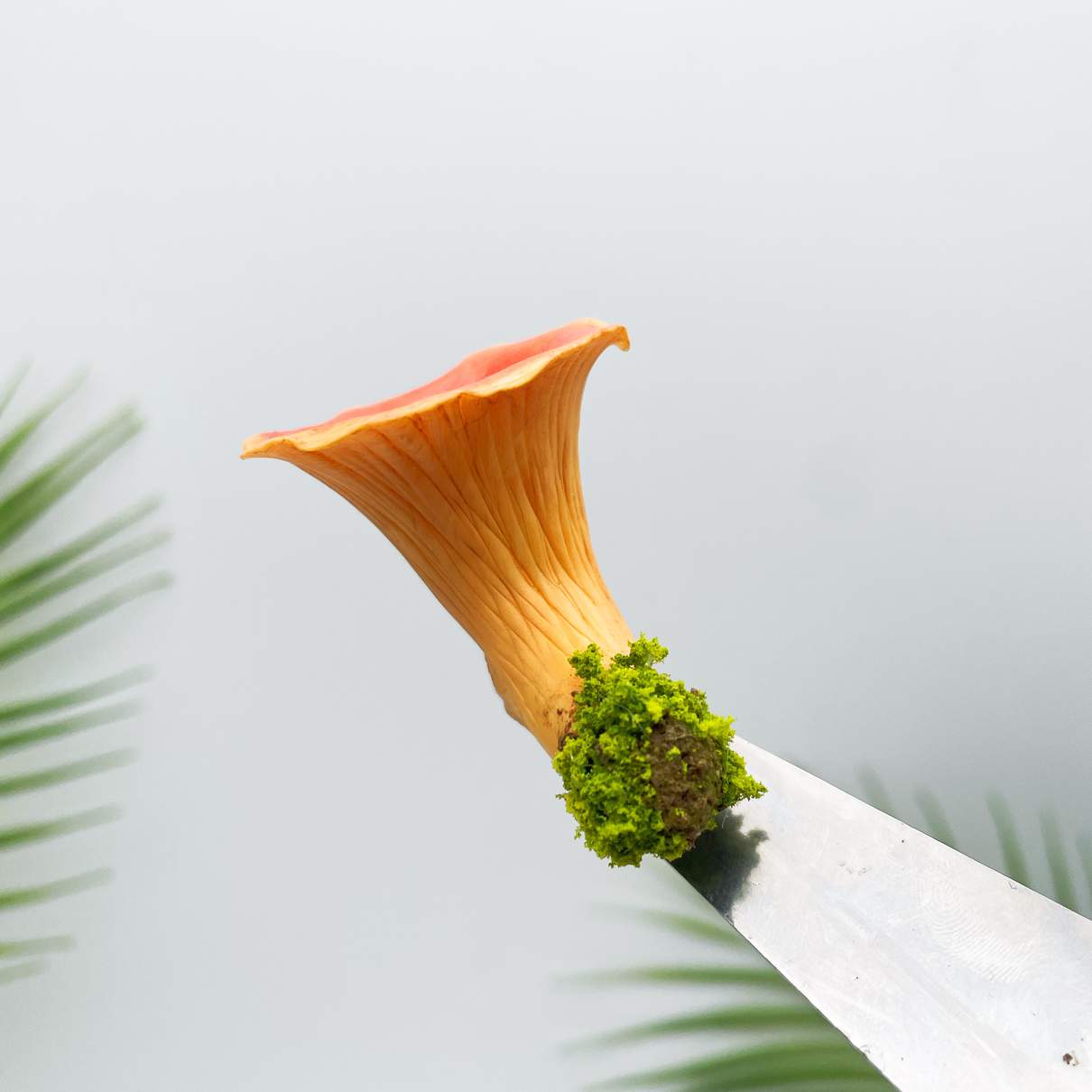 Realistic Trumpet Mushroom