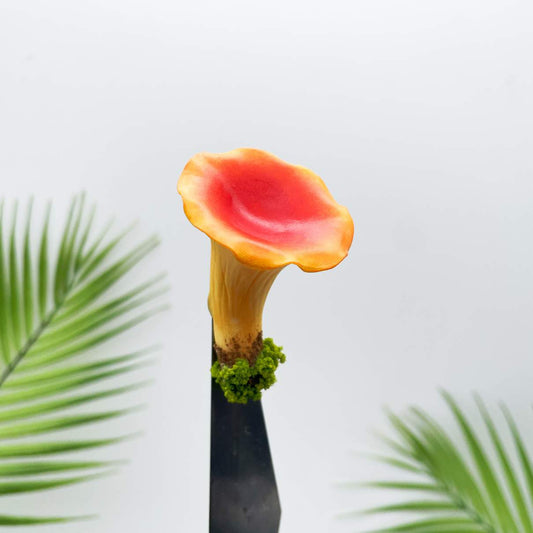 Realistic Trumpet Mushroom