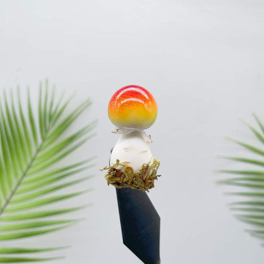 Caramel Cap Mushroom