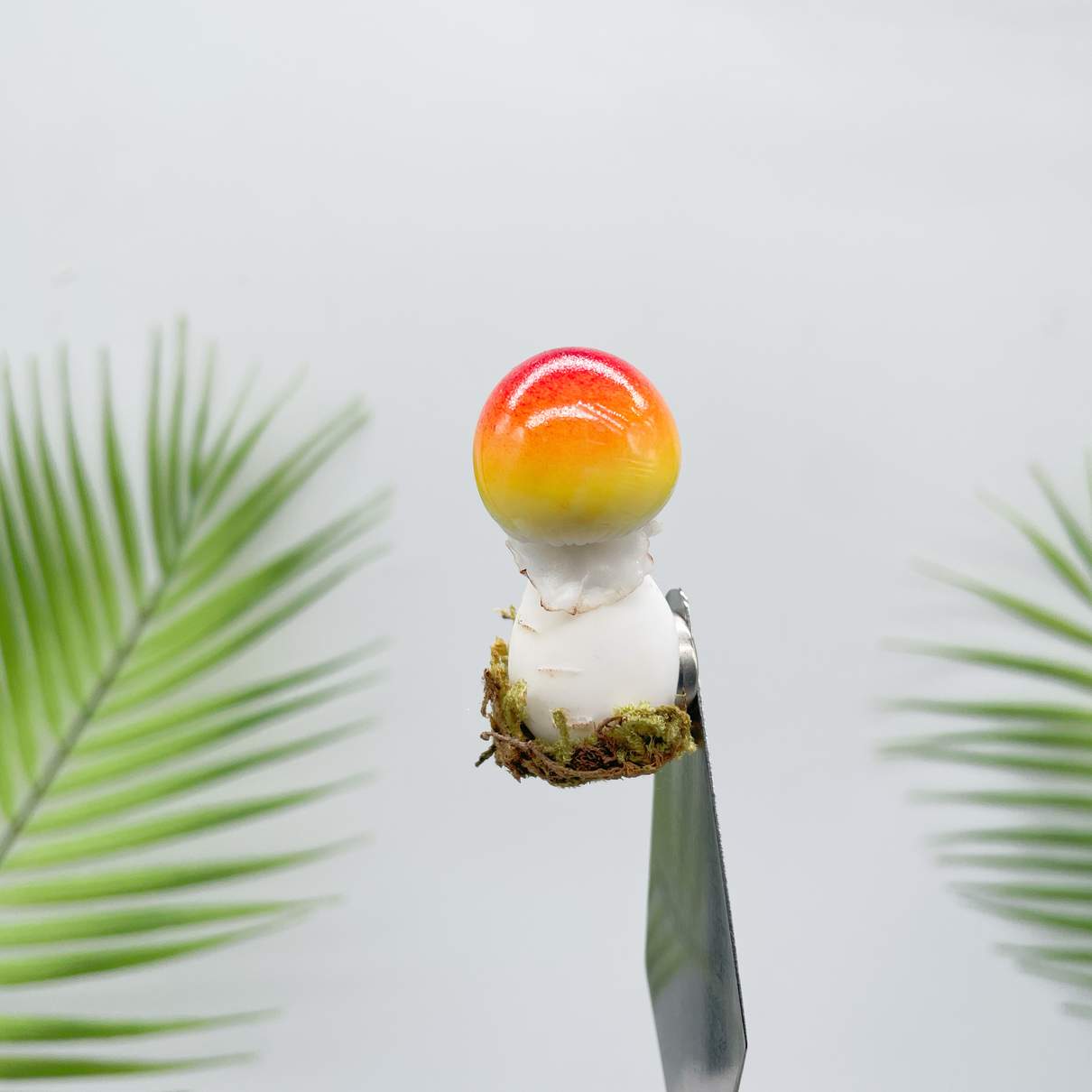 Caramel Cap Mushroom