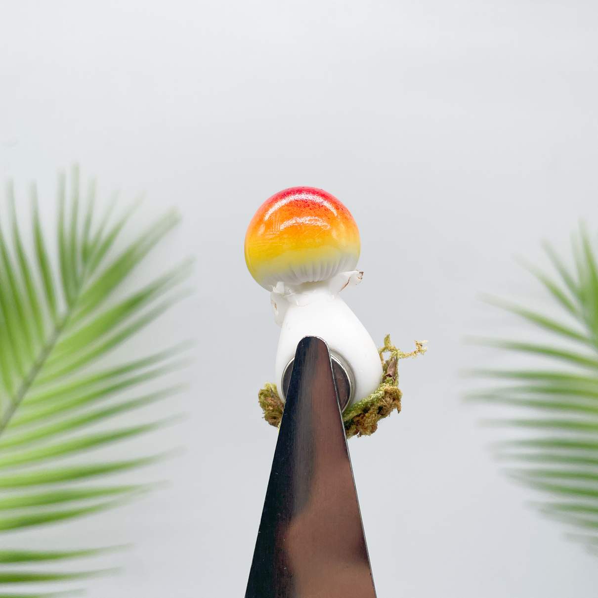 Caramel Cap Mushroom