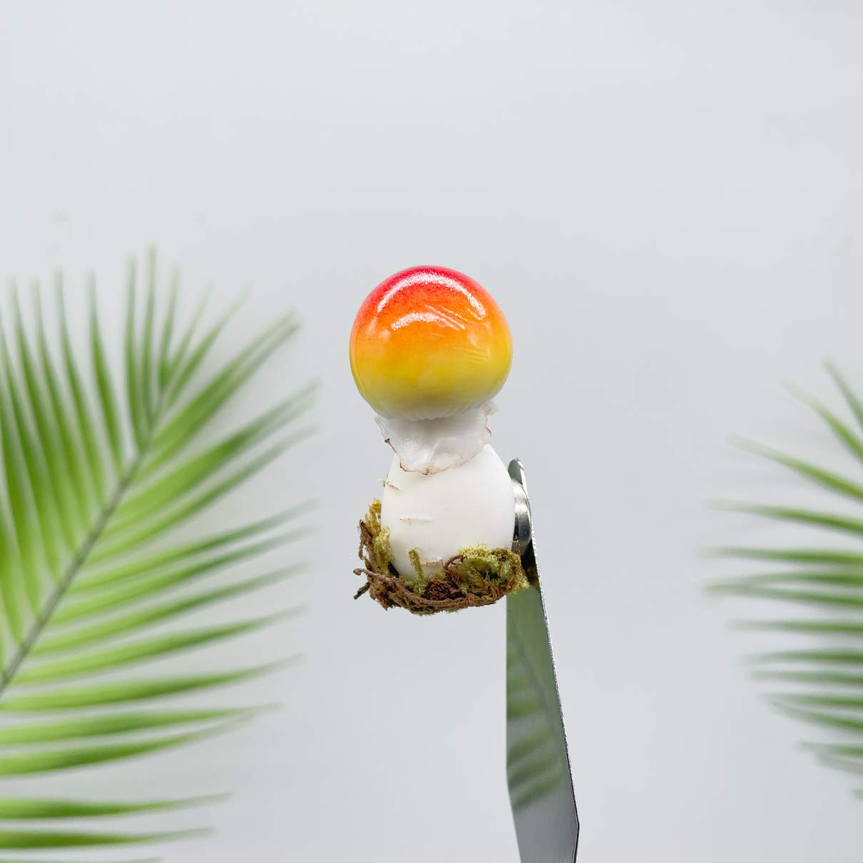 Caramel Cap Mushroom