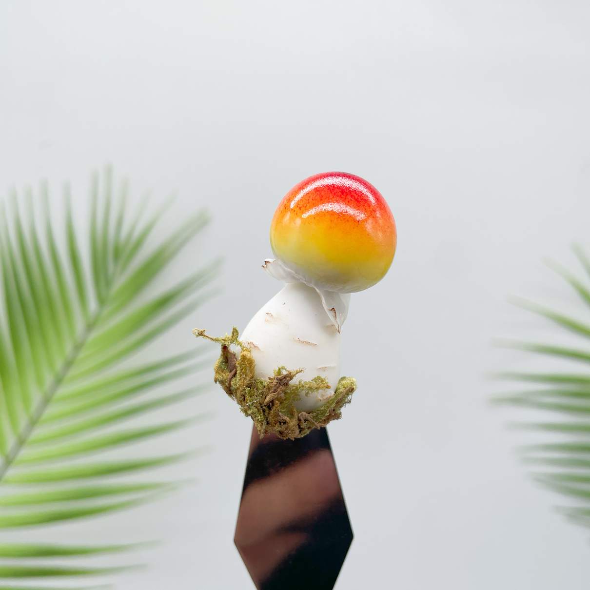 Caramel Cap Mushroom