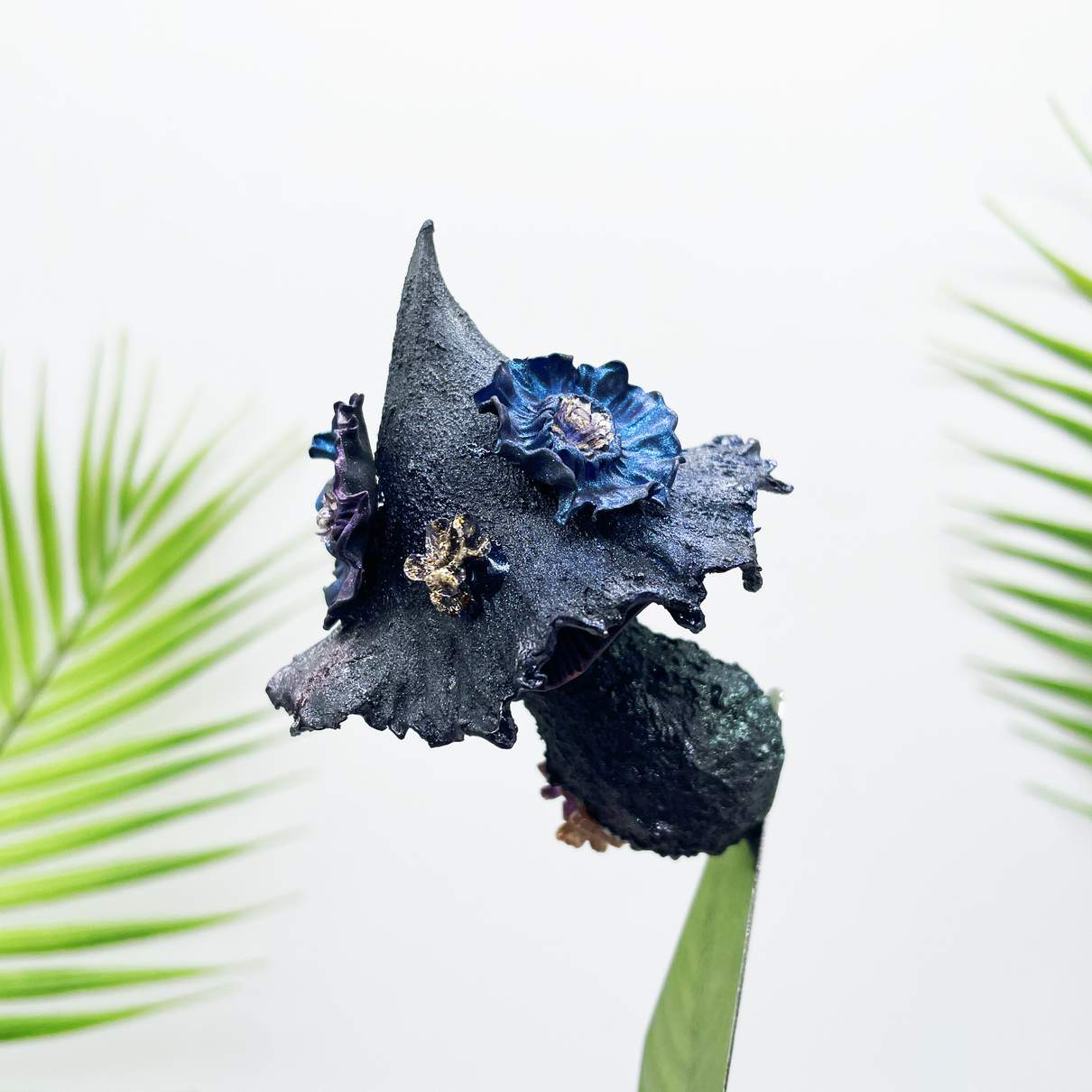 Midnight Sorceress Mushroom