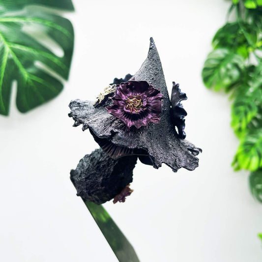 Midnight Sorceress Mushroom
