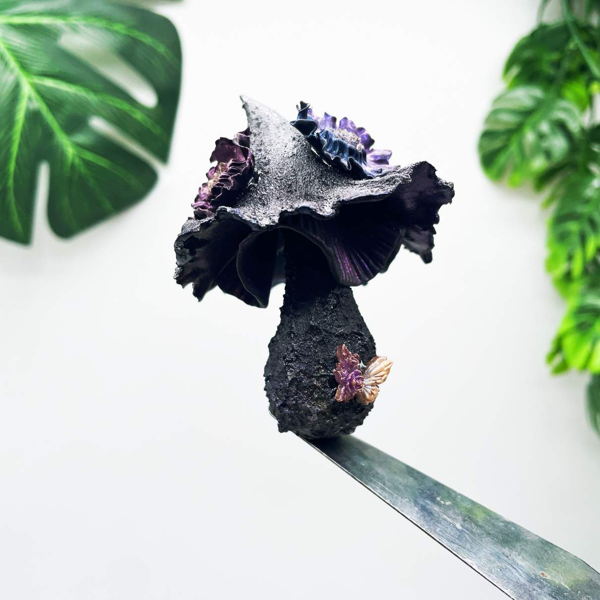 Midnight Sorceress Mushroom