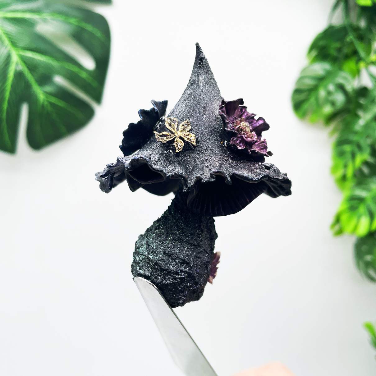 Midnight Sorceress Mushroom