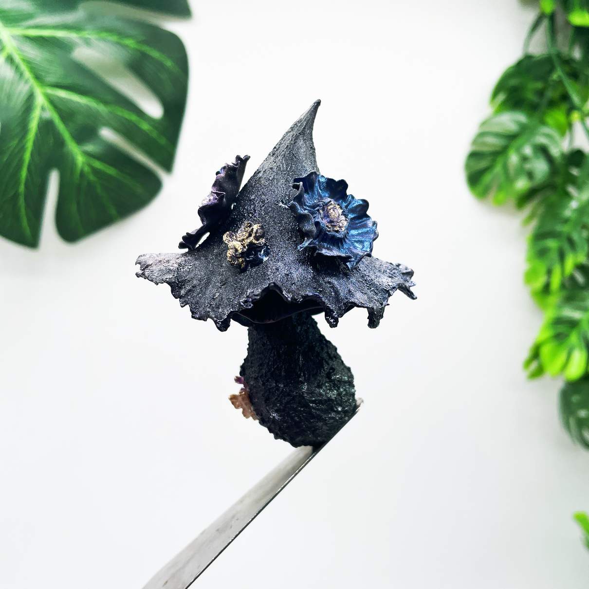 Midnight Sorceress Mushroom
