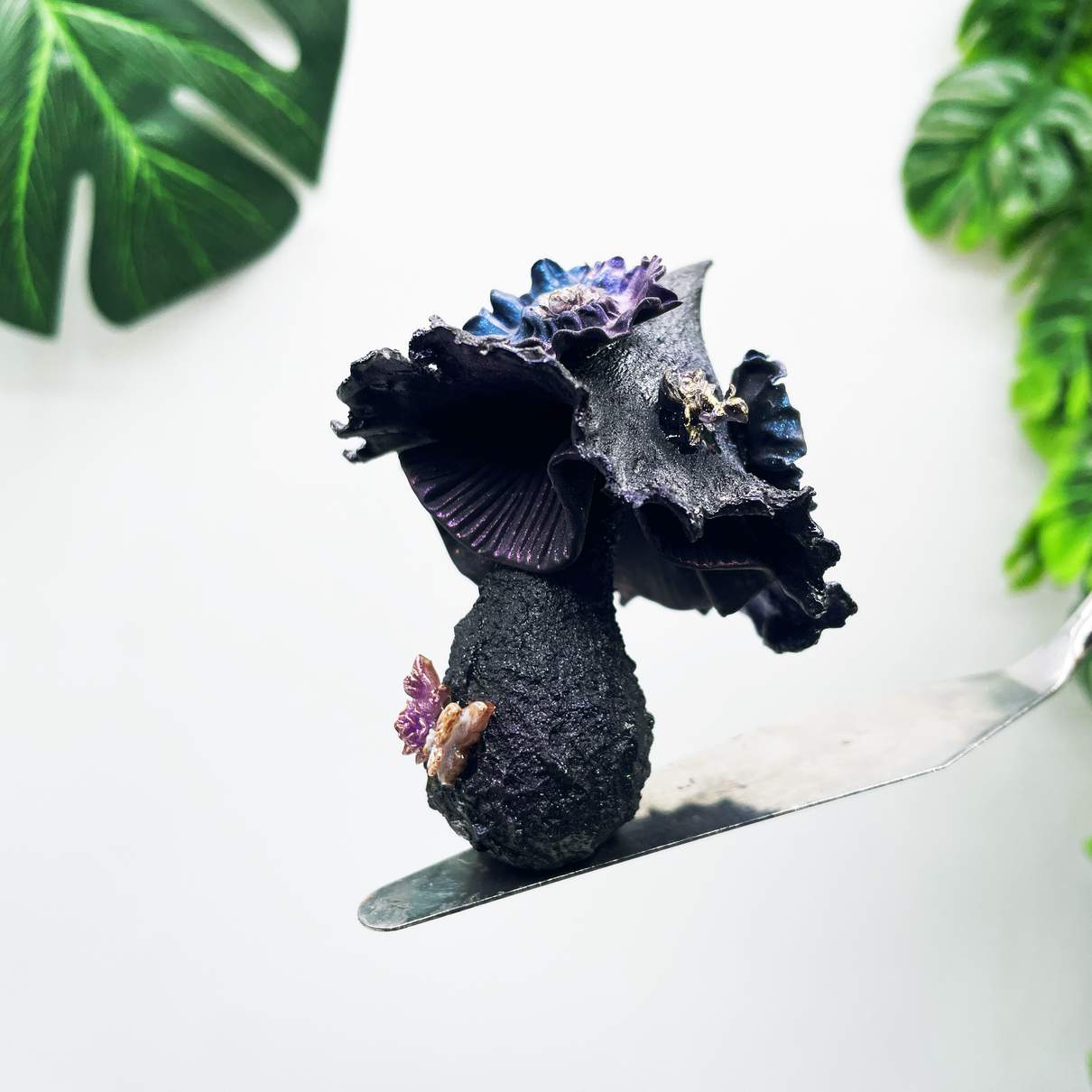 Midnight Sorceress Mushroom