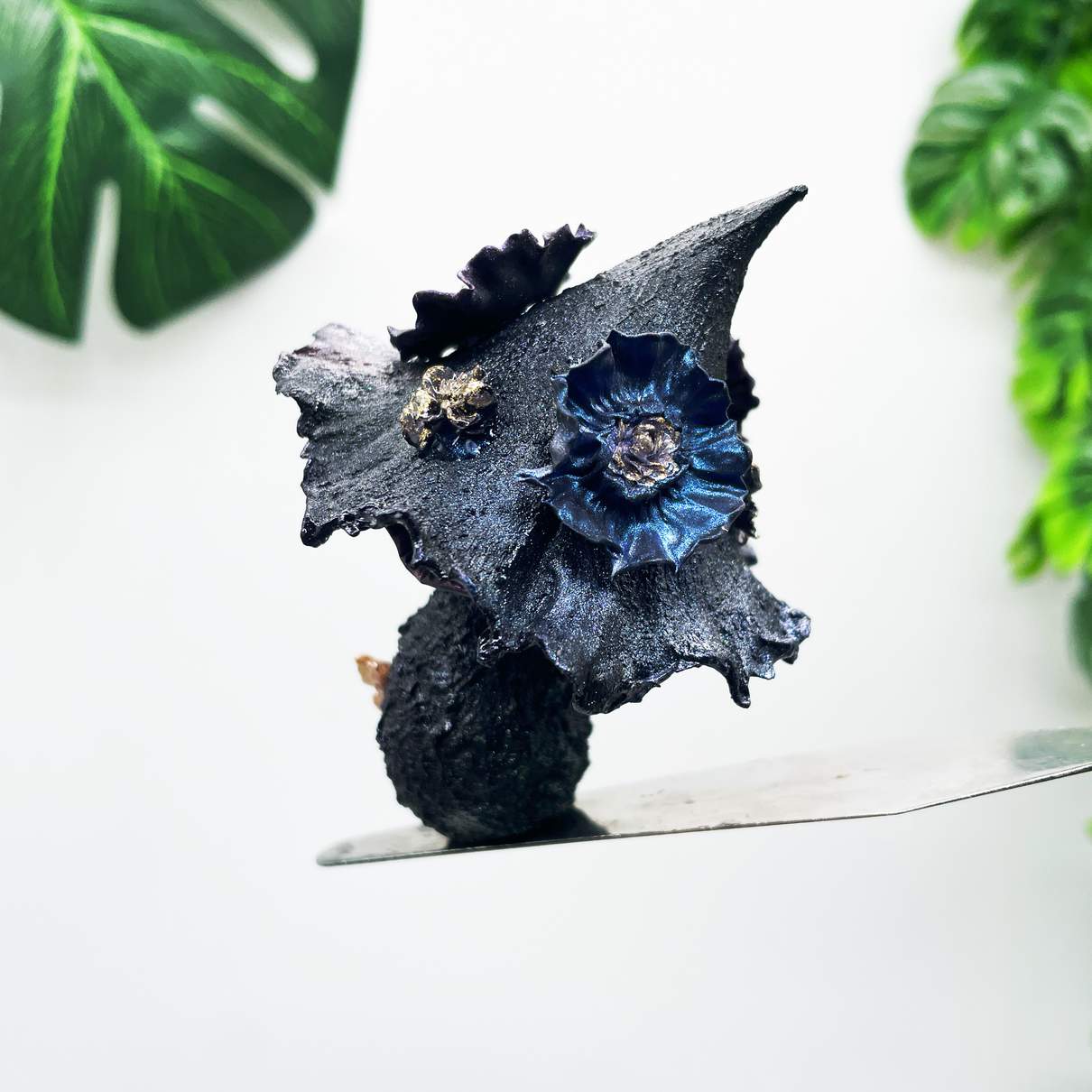 Midnight Sorceress Mushroom