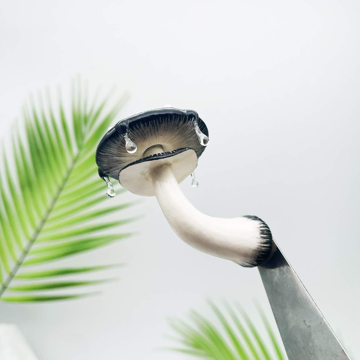 Aimant de réfrigérateur Champignon Noir