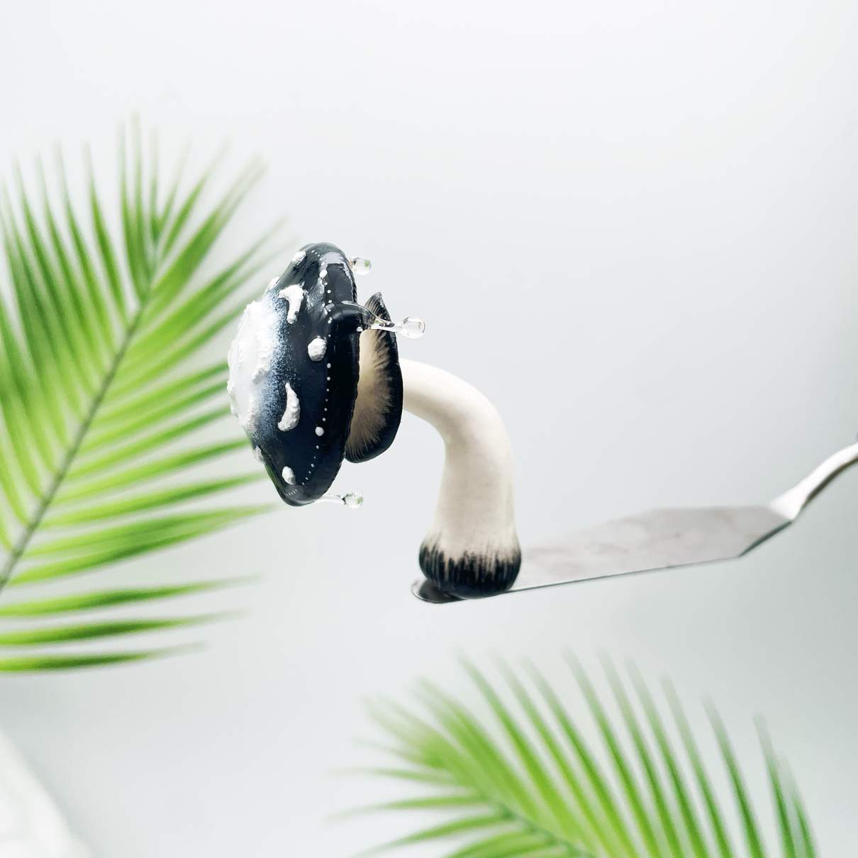 Aimant de réfrigérateur Champignon Noir