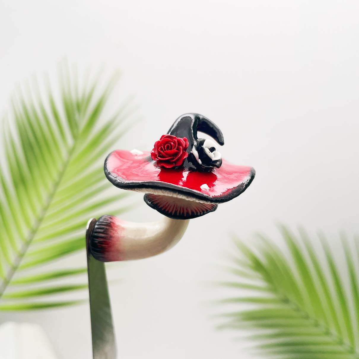 Dusky Bloom Witchcap Mushroom