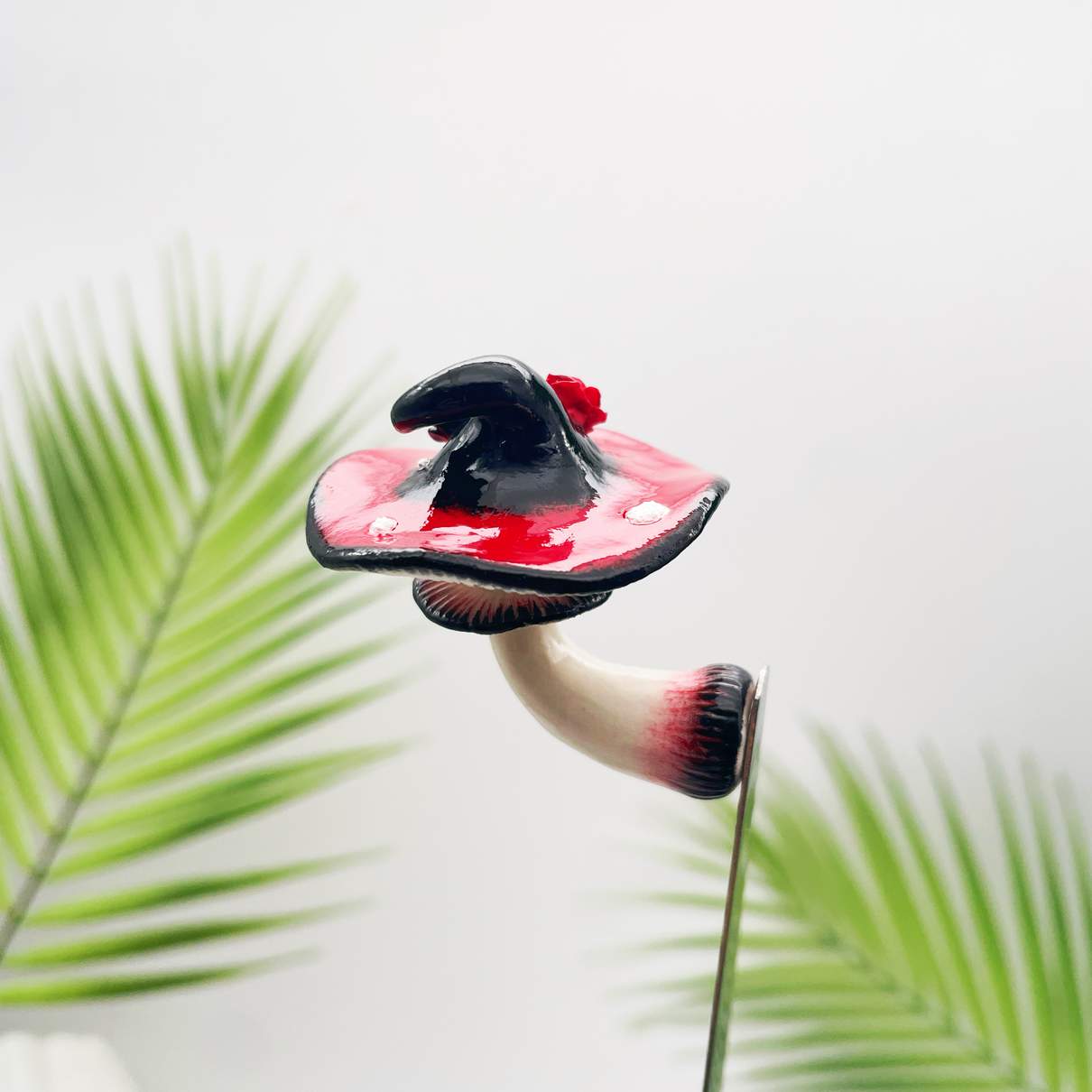 Dusky Bloom Witchcap Mushroom
