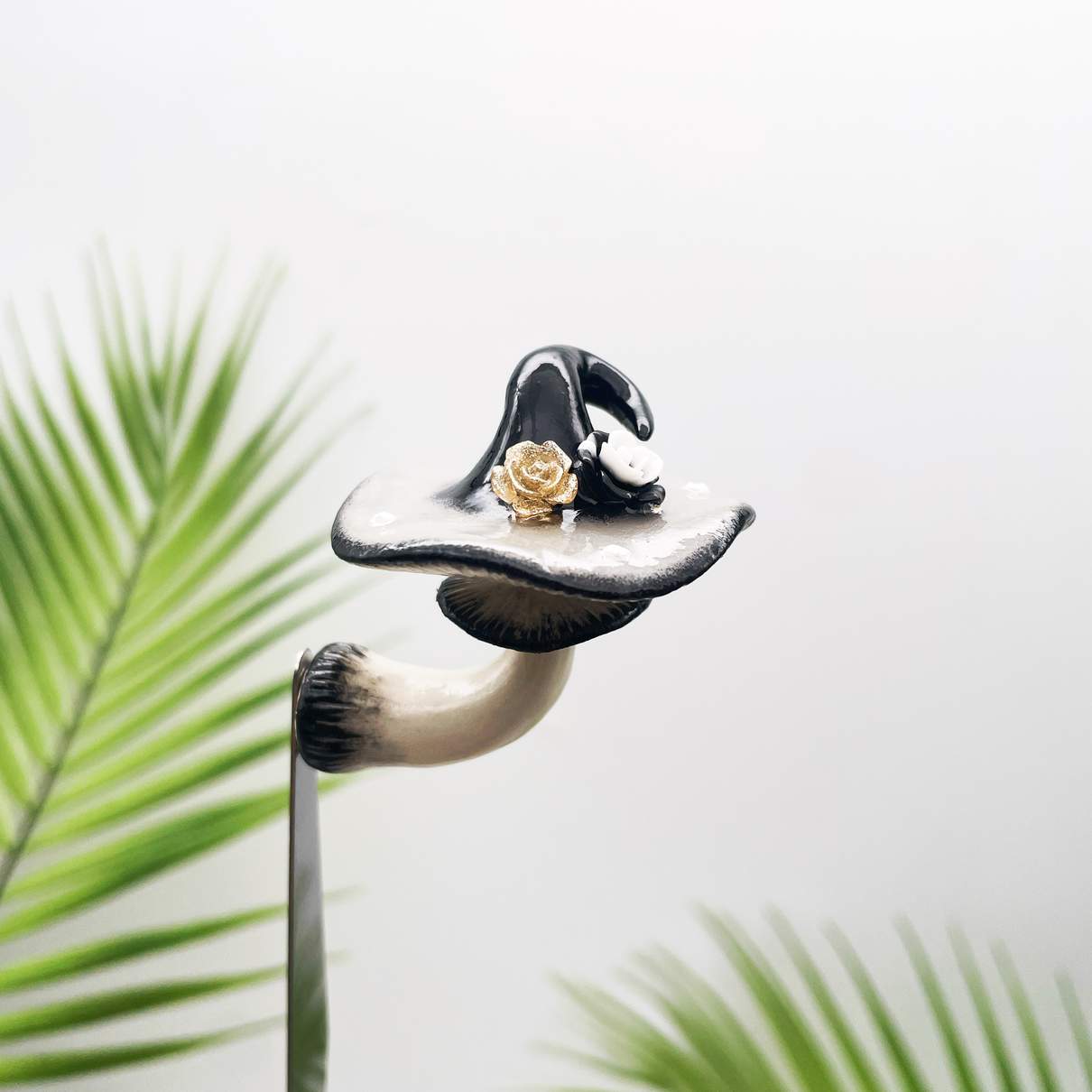 Dusky Bloom Witchcap Mushroom