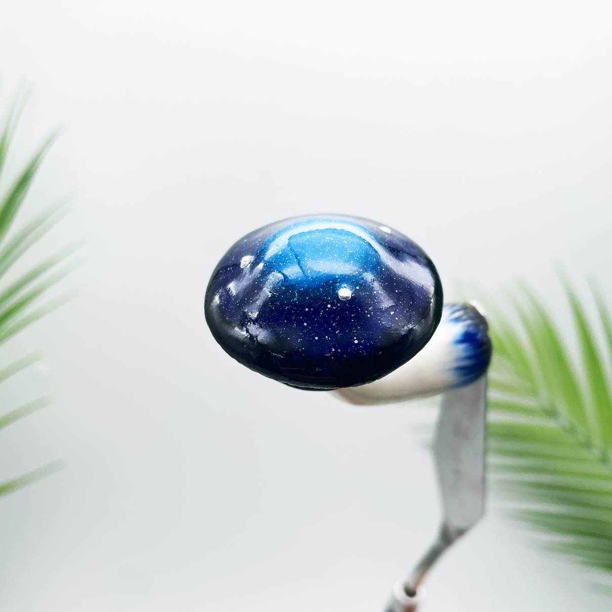 Cosmic Nebula Mushroom