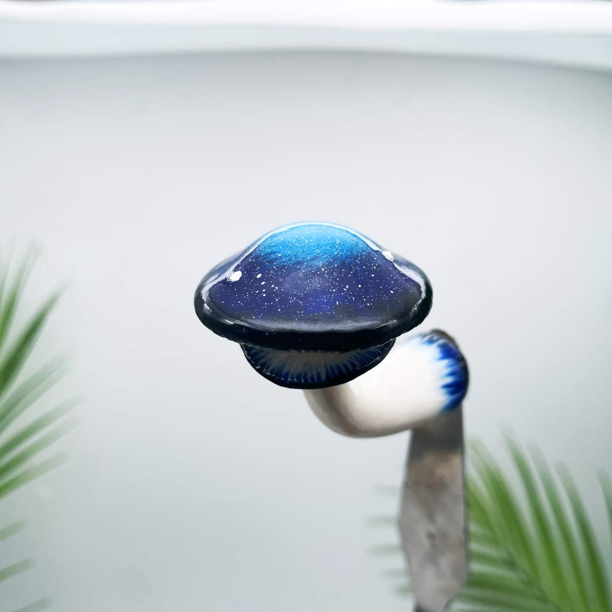 Cosmic Nebula Mushroom