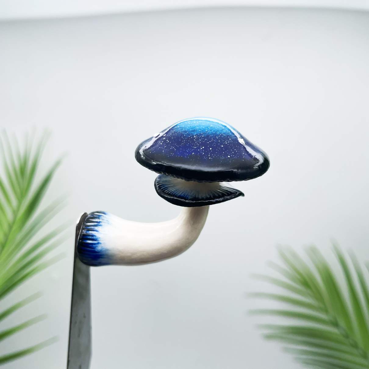 Cosmic Nebula Mushroom