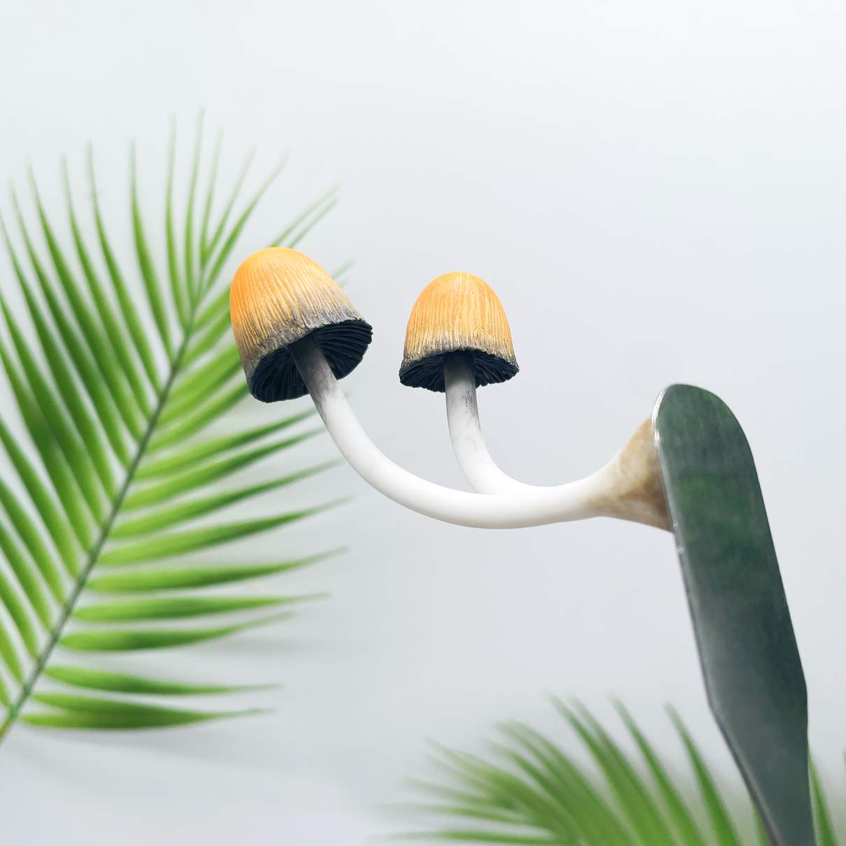 Twin Orange Ink Mushroom