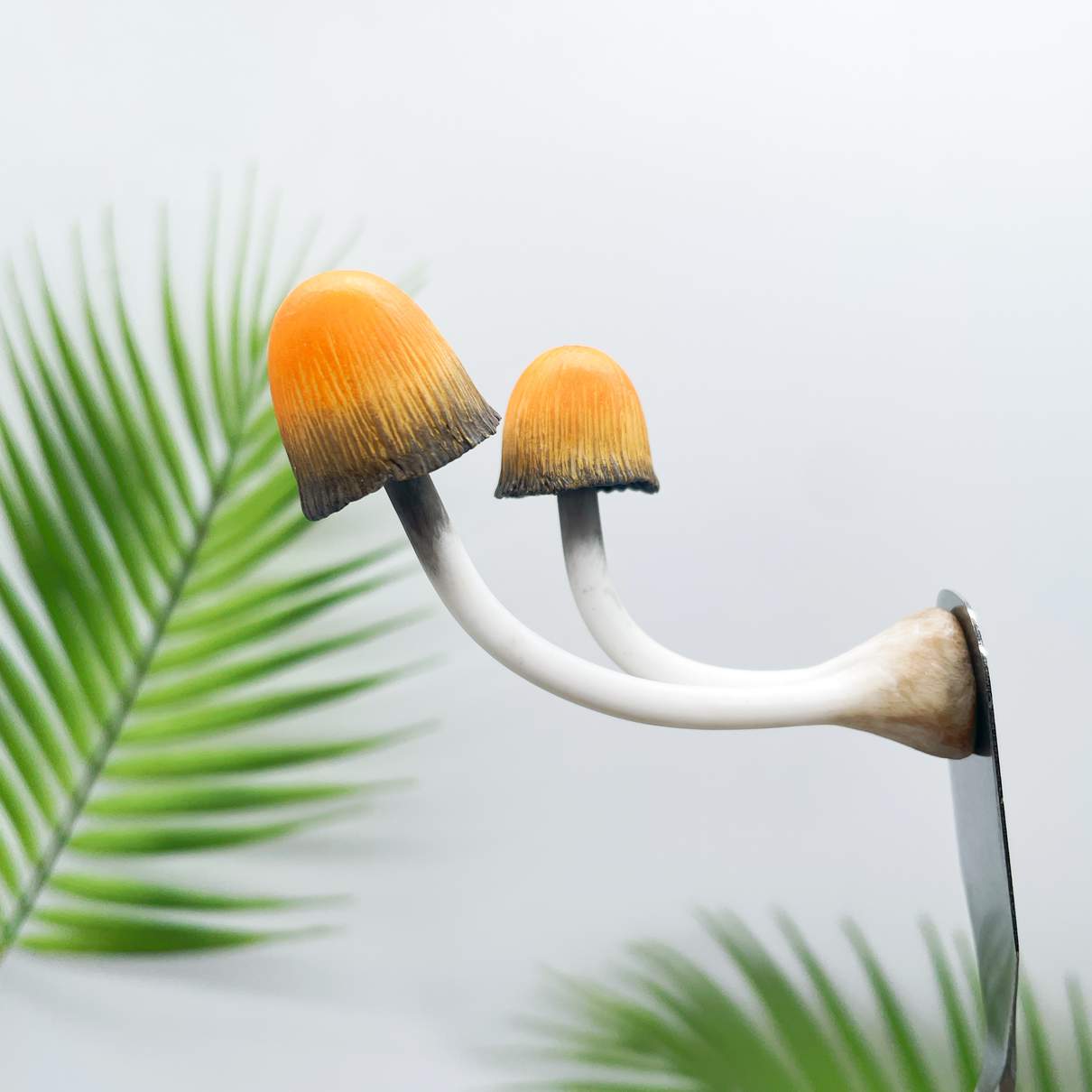 Twin Orange Ink Mushroom