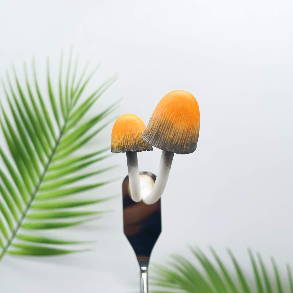 Twin Orange Ink Mushroom