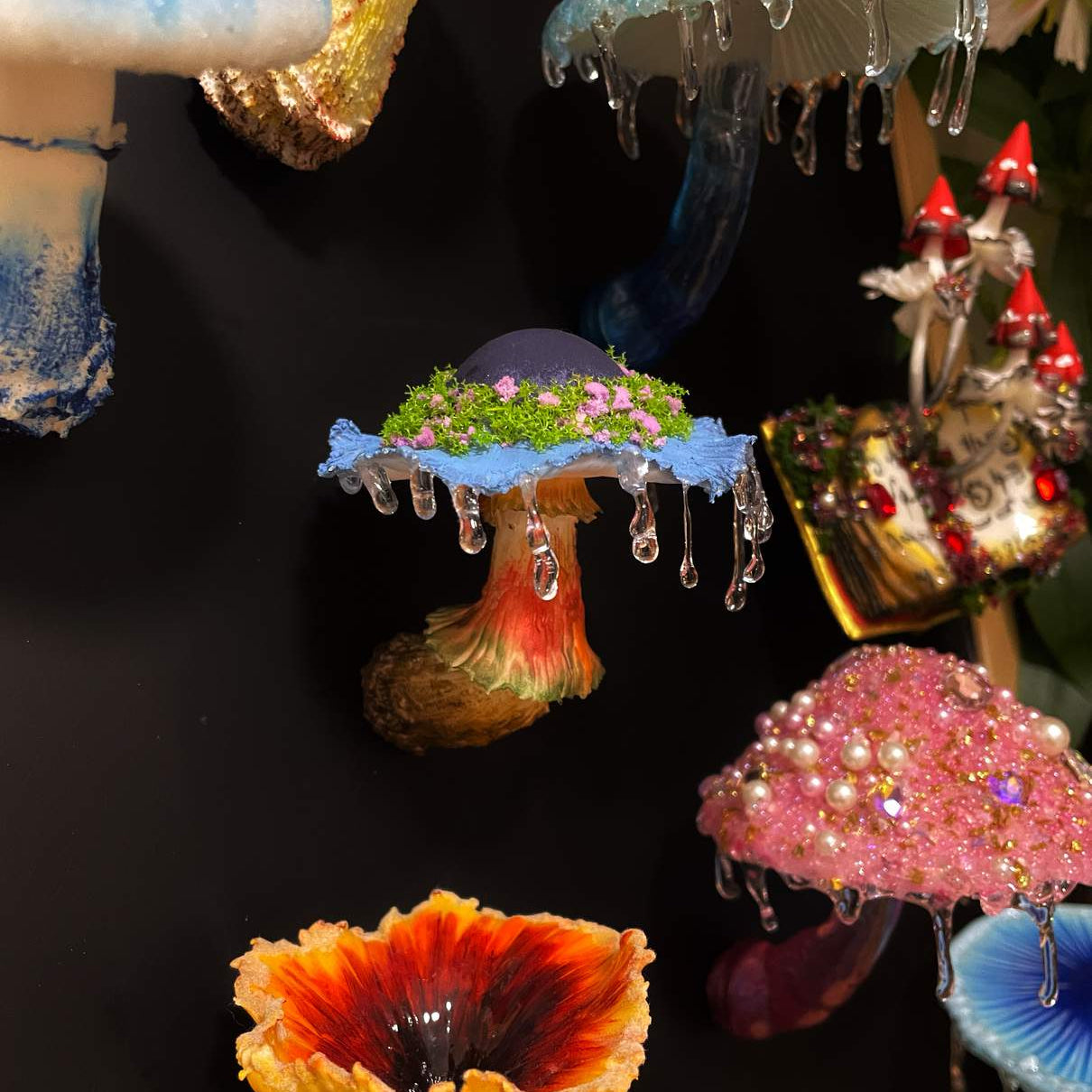 Fairy Canopy Rain Mushroom