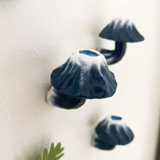 Frosty Crater Lake Mushroom