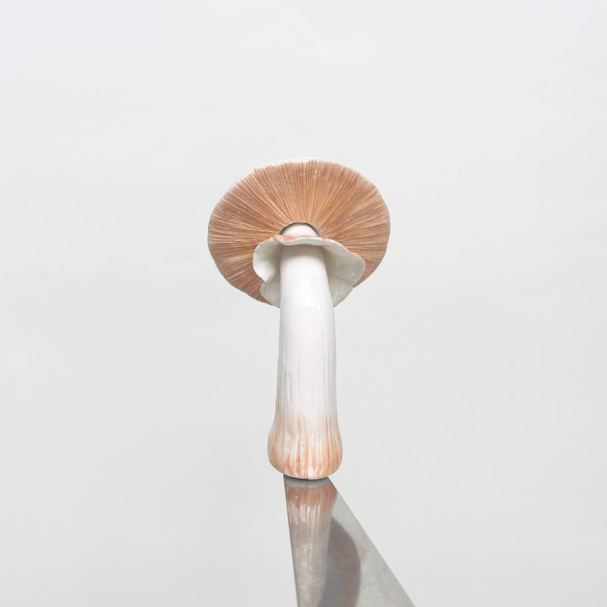 Moon Flower Mushroom