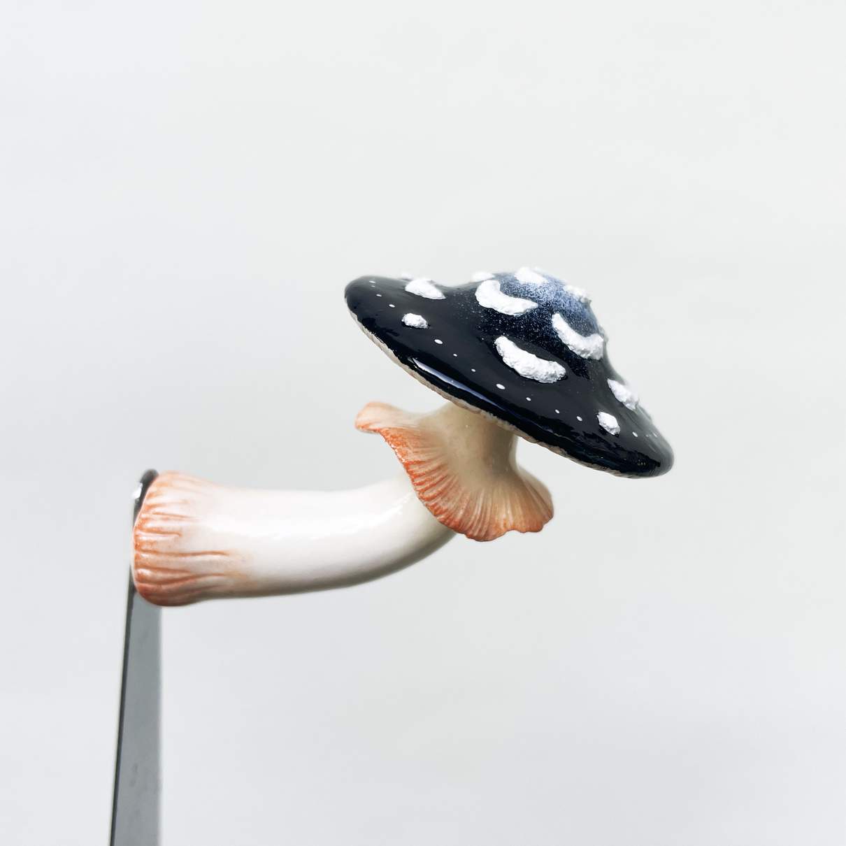 Moon Flower Mushroom