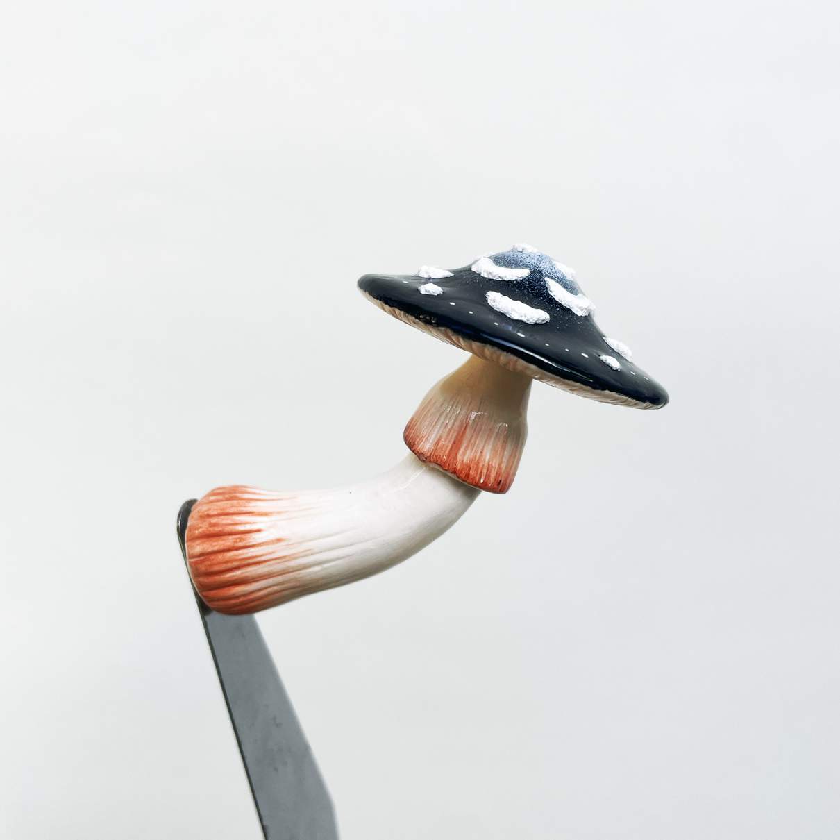 Moon Flower Mushroom
