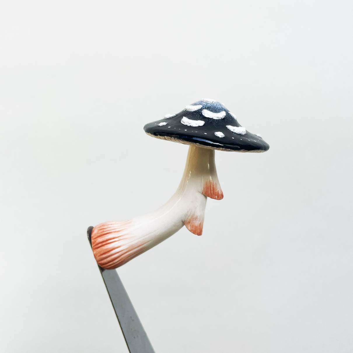 Moon Flower Mushroom