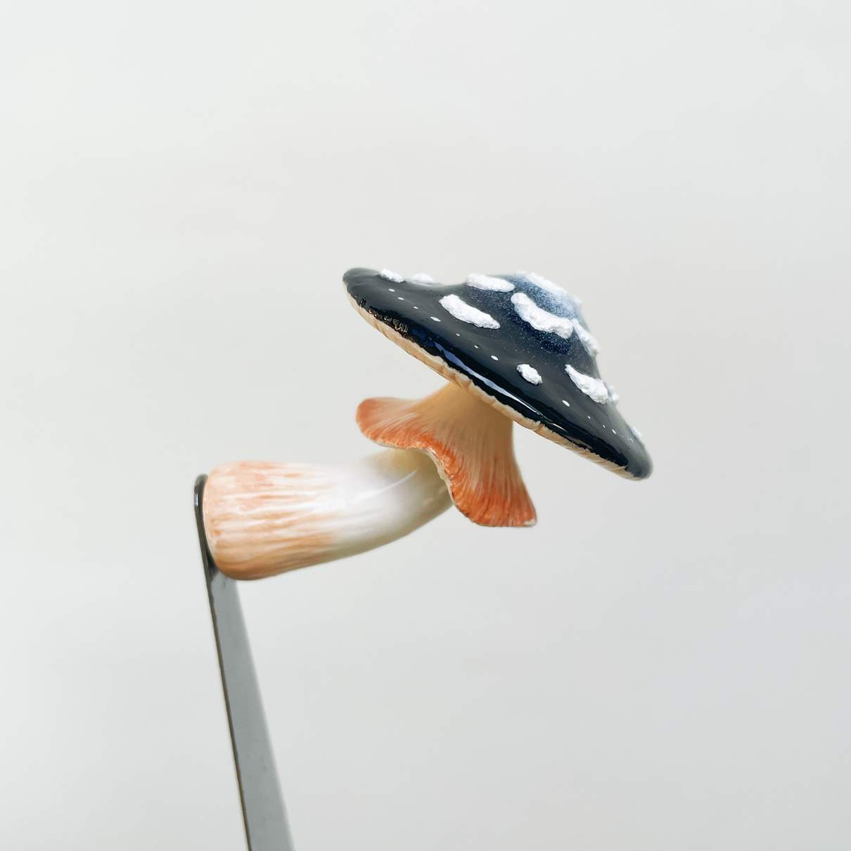 Moon Flower Mushroom