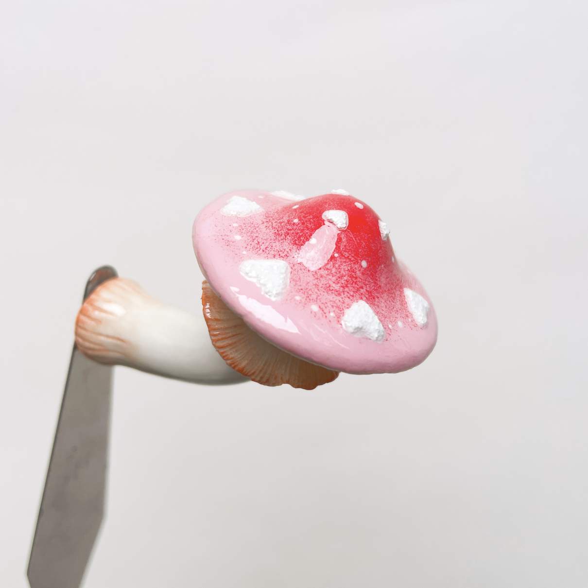 Pink Love Mushroom