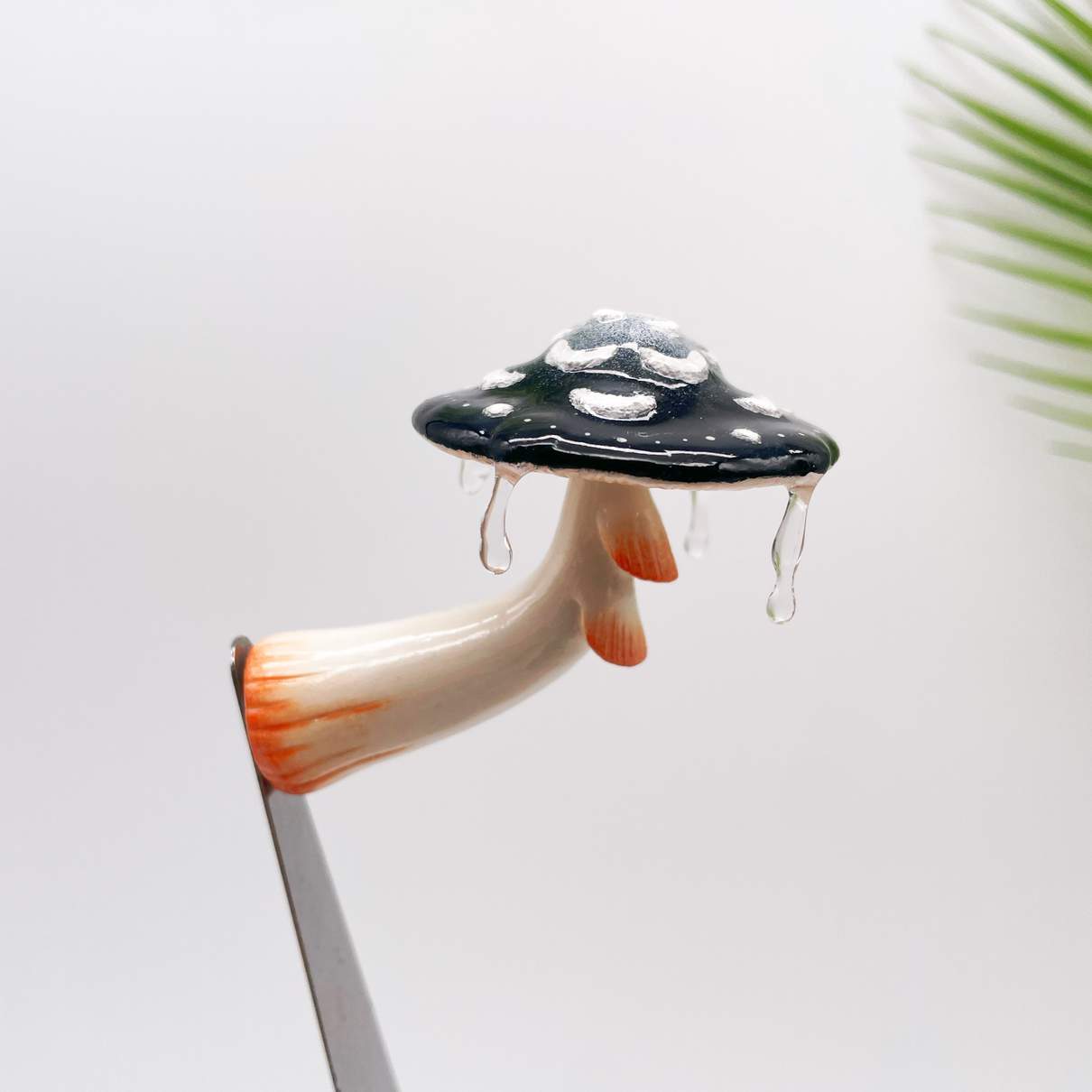 Moon Flower Mushroom