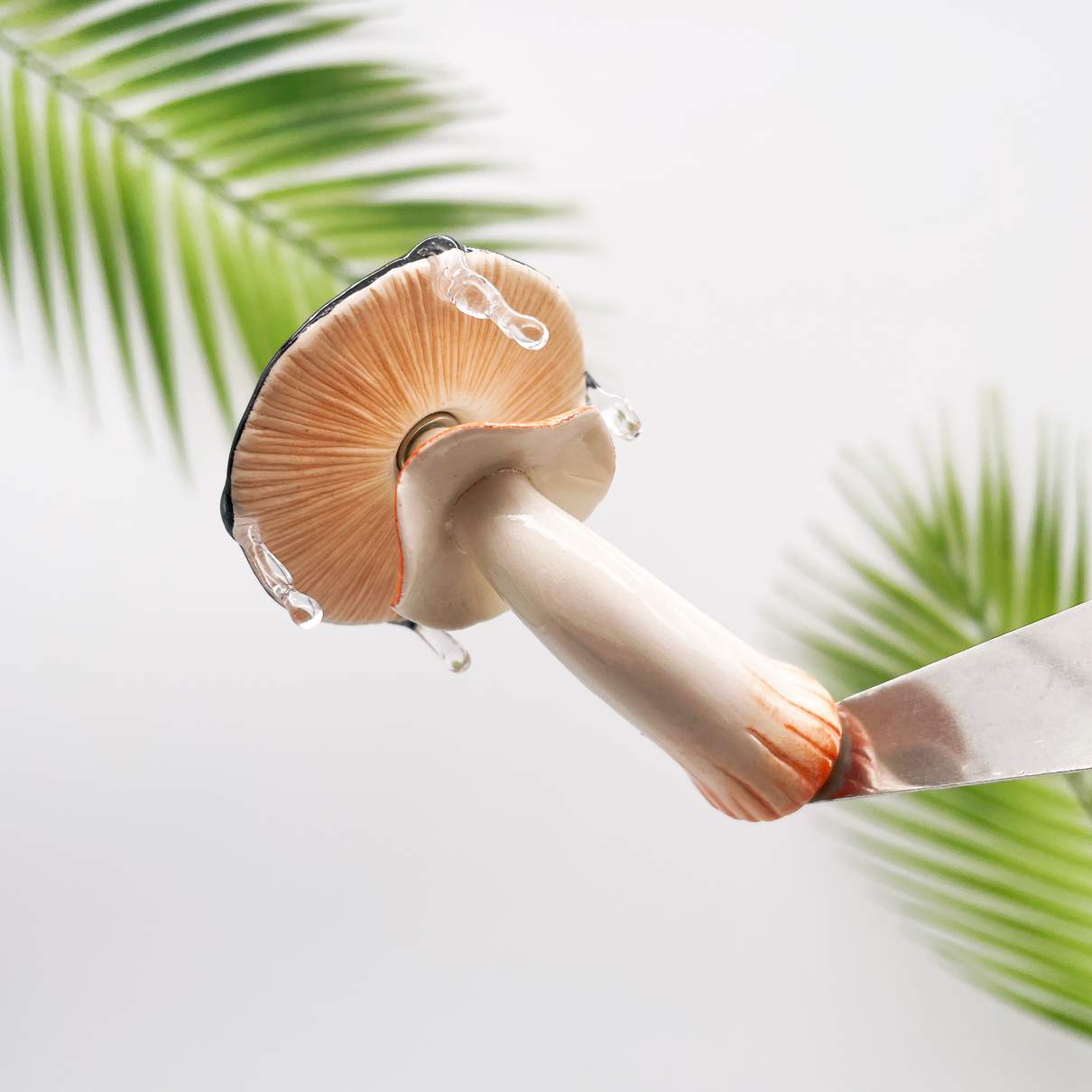 Moon Flower Mushroom