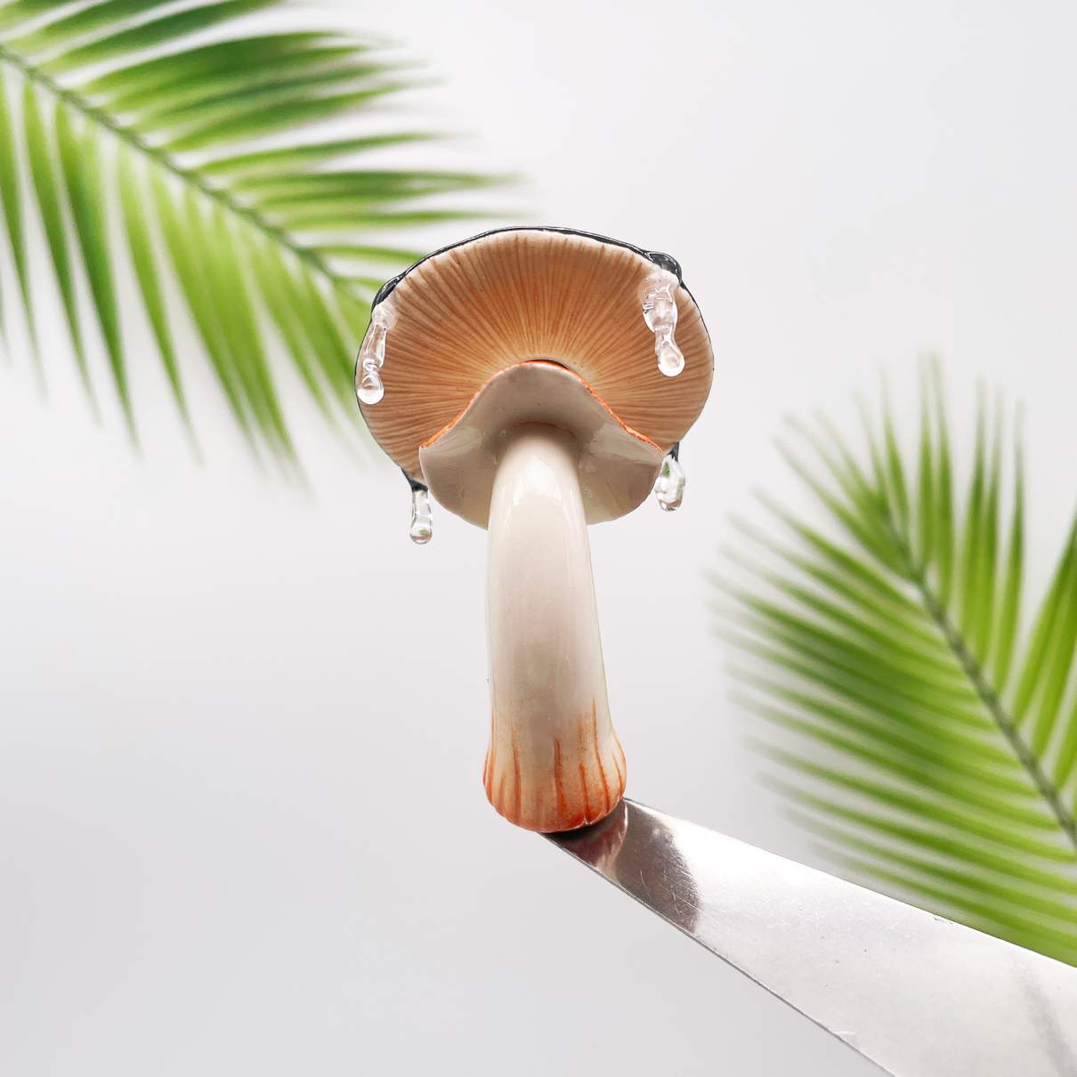 Moon Flower Mushroom