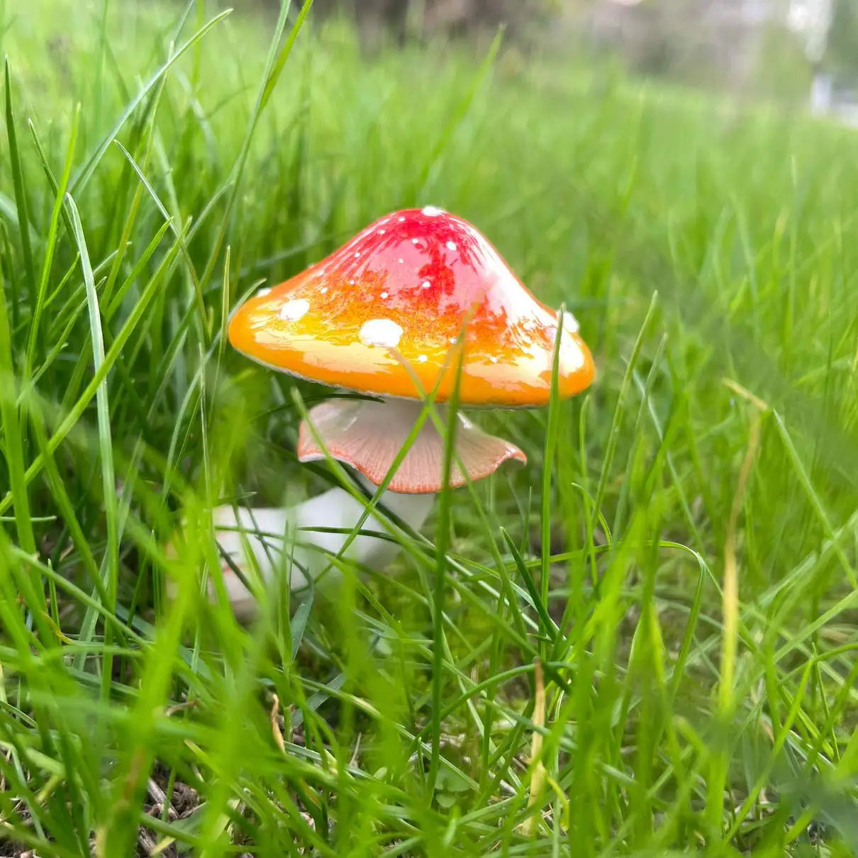 Kühlschrankmagnet mit Pilz-Farbverlauf, Rot-Orange