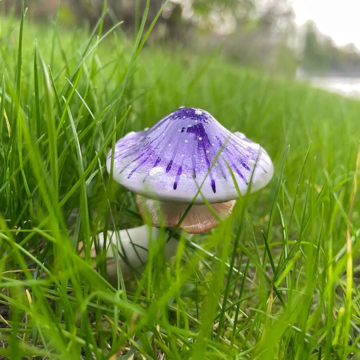 Aimant de réfrigérateur en forme de champignon violet rayonnant