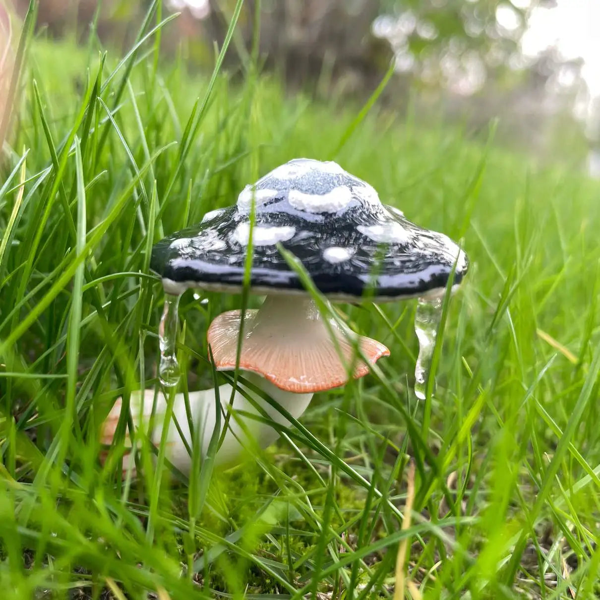 Moon Flower Mushroom